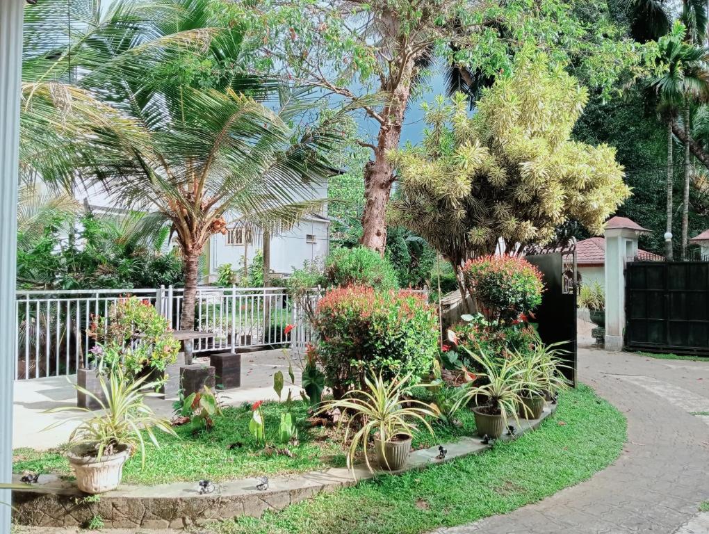 Zahrada ubytování Power Zone Guest House