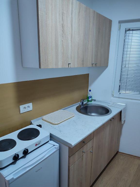 Kuchyň nebo kuchyňský kout v ubytování Živanović MT Srebrno jezero