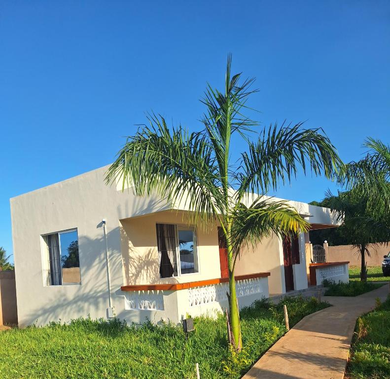 a palm tree in front of a house at Le Grande Haven in Lunga-Lunga