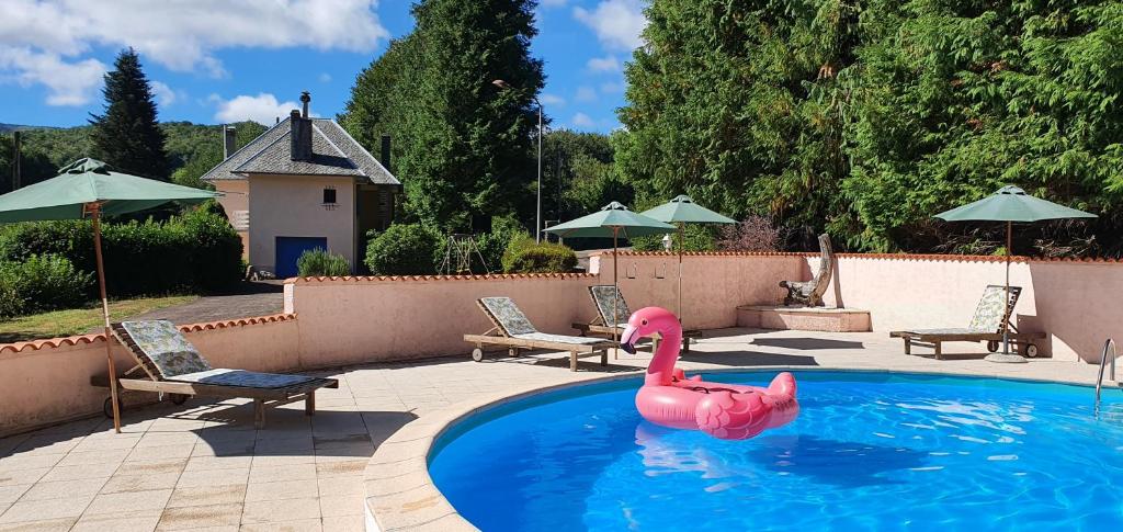 a swimming pool with a pink flamingo in the water at L'ECRIN DU LAC - L'Ortencia in Mazamet