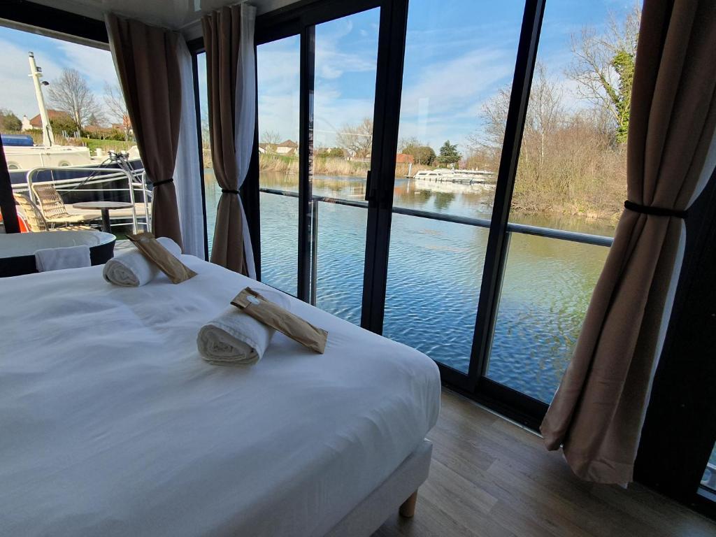a bedroom with a bed with a view of the water at Escale Royale Saint Jean de Losne 35' de Dijon House Boat sur l'eau in Saint-Jean-de-Losne