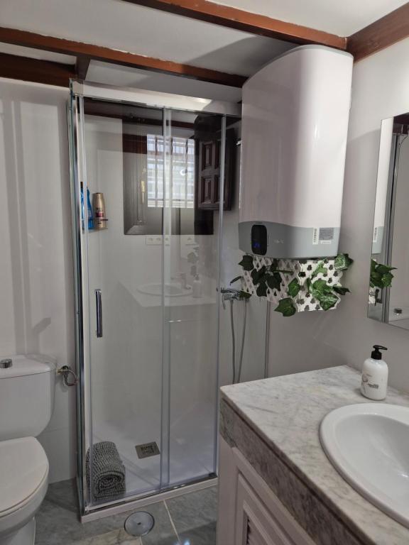 een badkamer met een douche, een toilet en een wastafel bij Catedral Suite in Granada