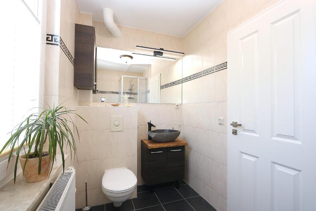 a bathroom with a toilet and a sink and a mirror at Haus Ostseenordstern Nienhagen in Nienhagen
