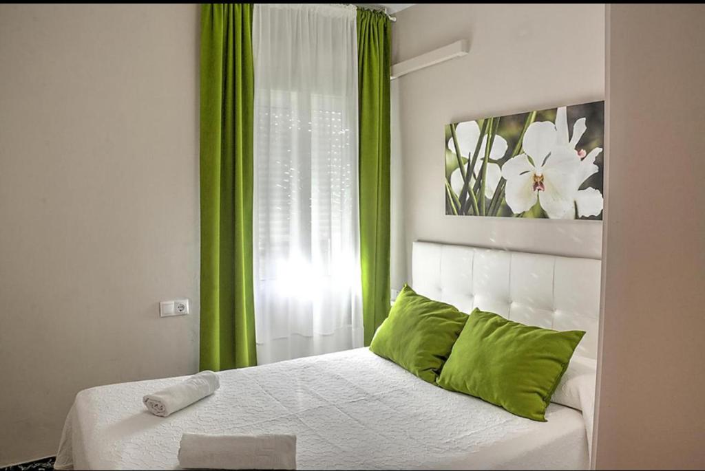 1 dormitorio con 1 cama con cortinas verdes y ventana en Ritual Sevilla, piedra preciosa, en Sevilla