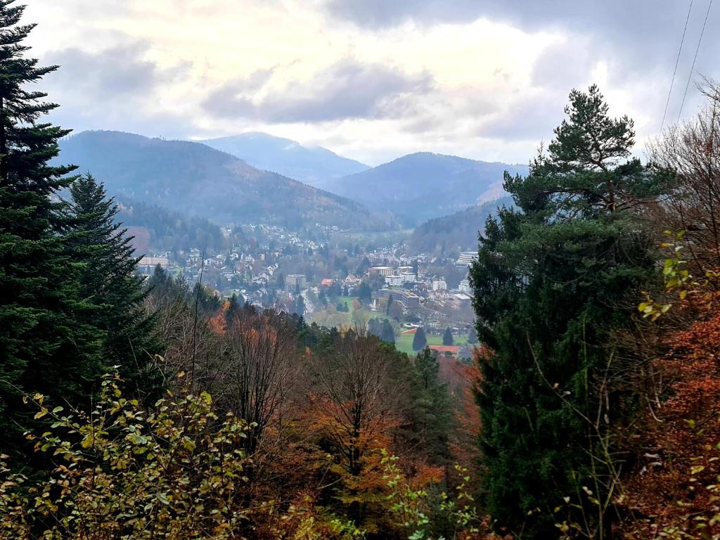 a view of a town in the mountains at Schöne Ferienwohnung im Schwarzwald in Bad Herrenalb