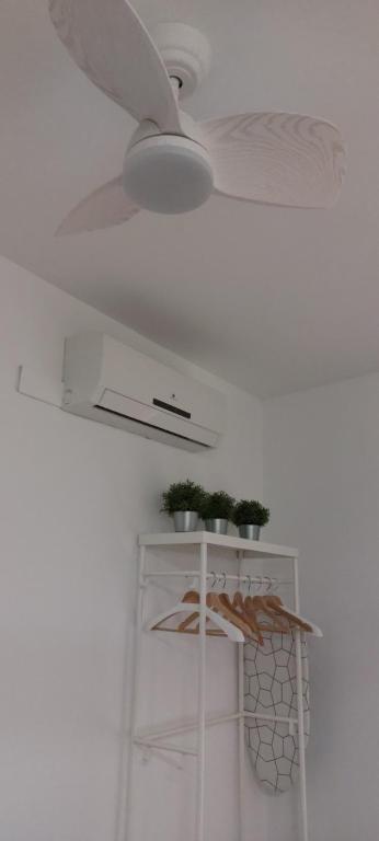 ToledoAloja - Estudio en Toledo - 16