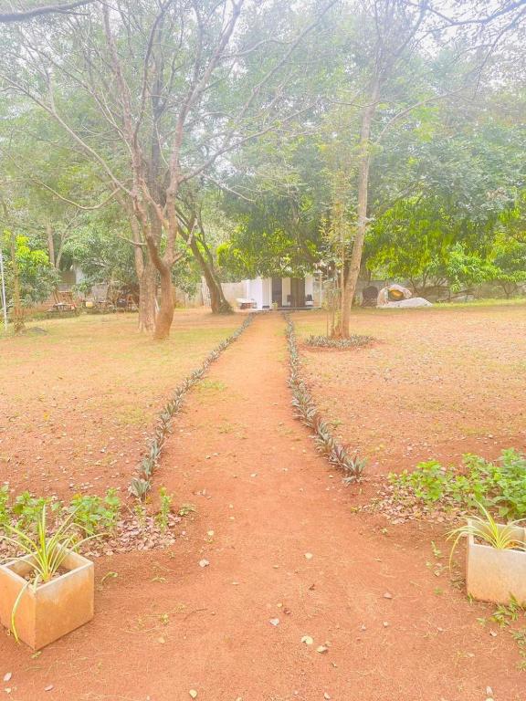 Zahrada ubytování Ima Villa Sigiriya