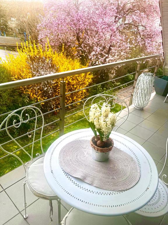Balkón nebo terasa v ubytování Weinurlaub
