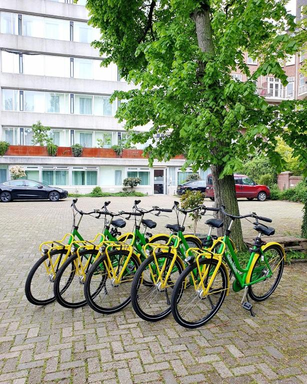 Court Garden Hotel - Resim 25