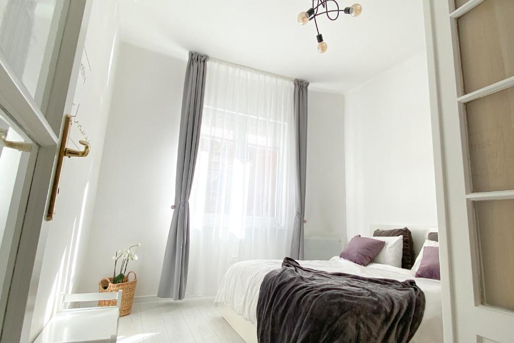 Vitosha Downtown Apartments - Deluxe Apartment