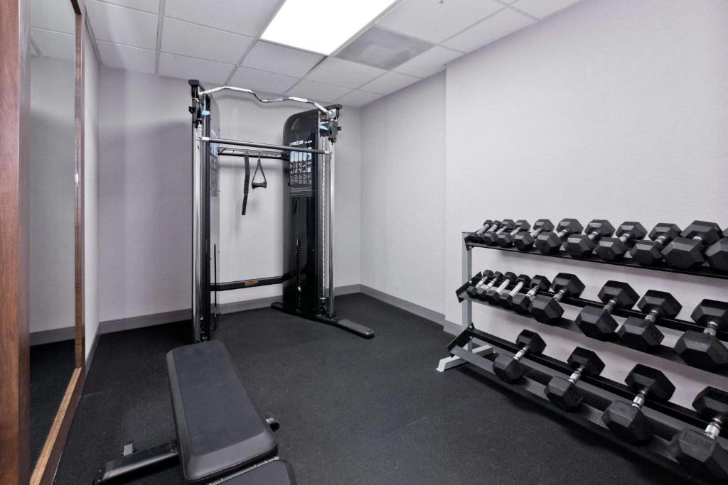 Fitness centrum a/nebo fitness zařízení v ubytování Hampton Inn & Suites Palm Desert