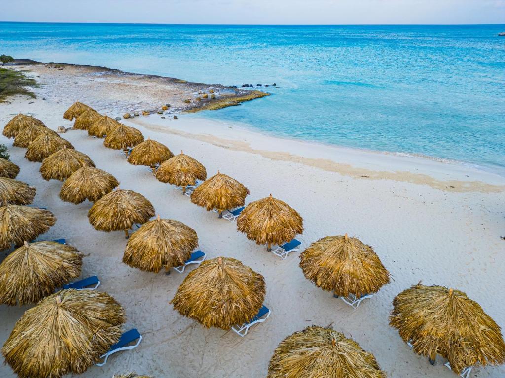 鷹海灘的住宿－Embassy Suites By Hilton Aruba Resort，海滩上的一帮草伞
