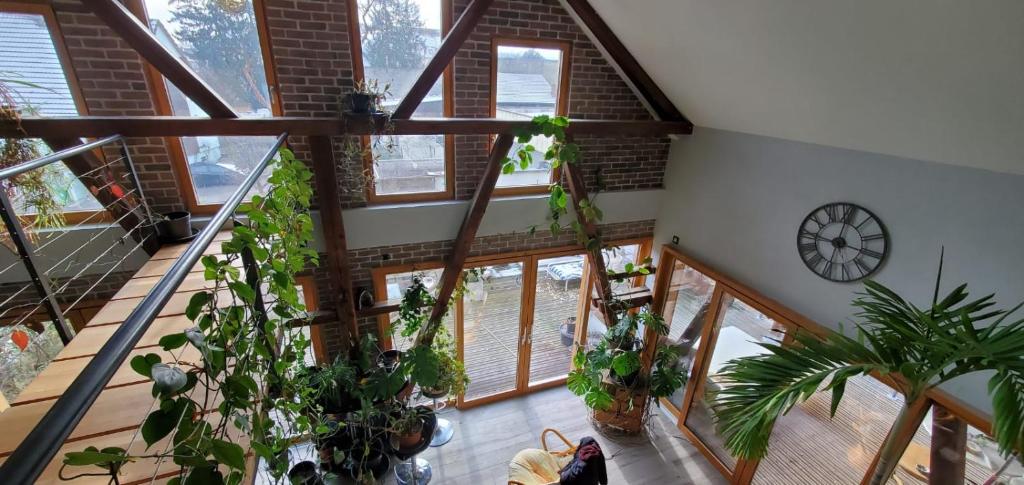 une chambre avec beaucoup de plantes et une horloge dans l'établissement Grange du petit bonhomme, à Hésingue