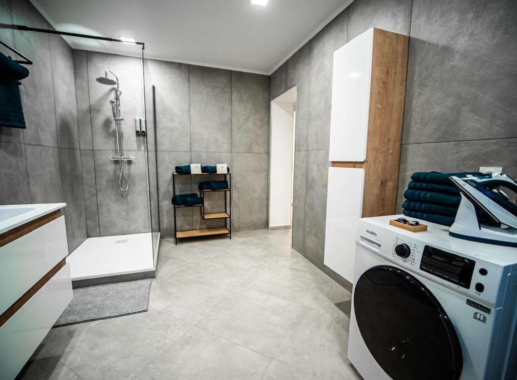 uma casa de banho com um chuveiro e uma máquina de lavar roupa em Adalia Lodge em Basse-Yutz