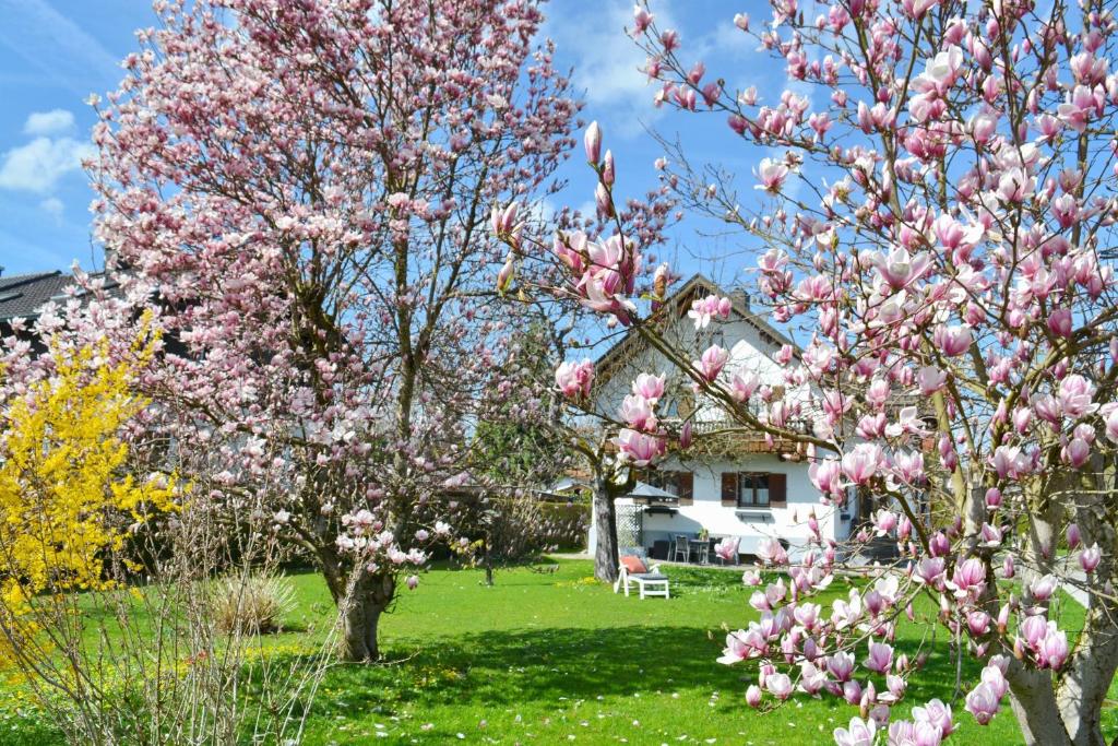 a tree with pink flowers on it in a yard at Haus Magnolia in Bernau am Chiemsee