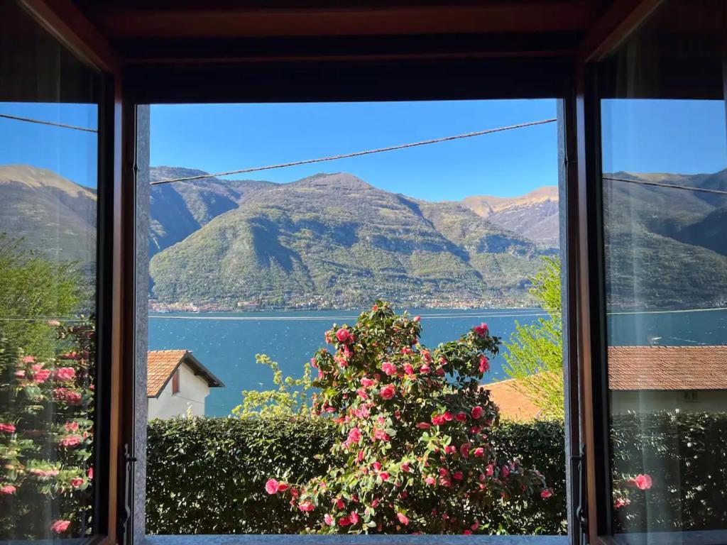 Naturlandskabet i nærheden af feriehuset