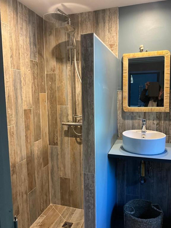 a bathroom with a sink and a mirror at Chambres d&#39;hôtes Le Montagné in Villeneuve-lès-Avignon