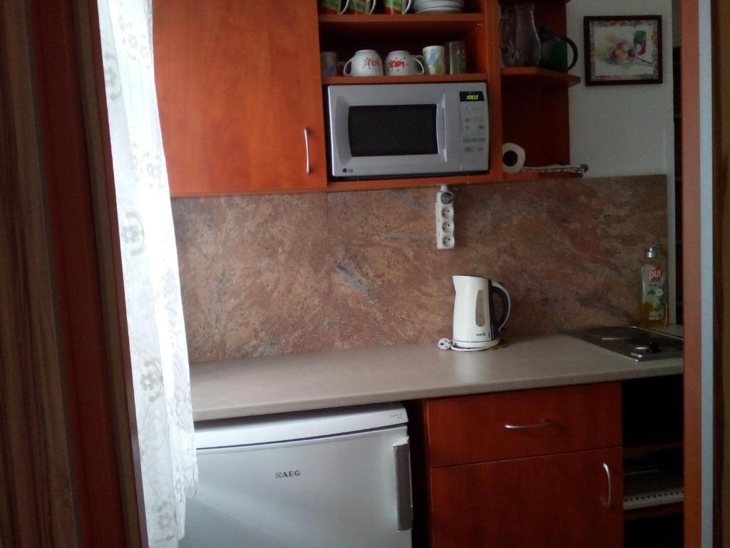 Kuchyň nebo kuchyňský kout v ubytování Apartmány Fialka