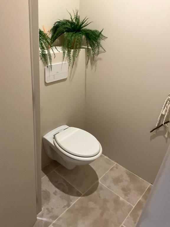 a bathroom with a toilet with two plants above it at Chambres d&#39;hôtes Le Montagné in Villeneuve-lès-Avignon