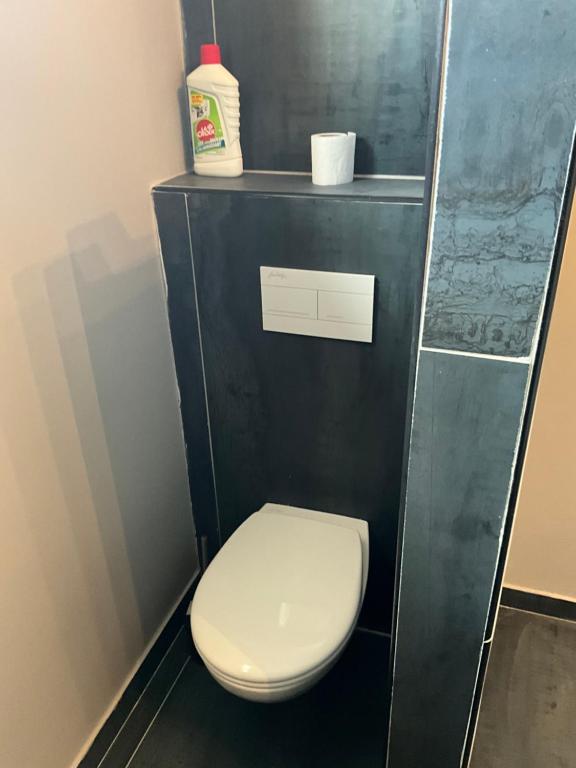 a bathroom with a white toilet in a stall at Chambres d&#39;hôtes Le Montagné in Villeneuve-lès-Avignon