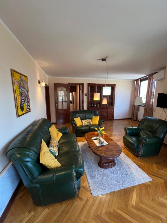 sala de estar con sofá de cuero verde y mesa en Apartmani Central 12 & Free parking, en Vrnjačka Banja