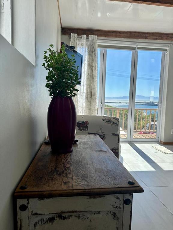 a vase sitting on top of a wooden table with a plant at Blue Bay Studio Bayview in Cape Town