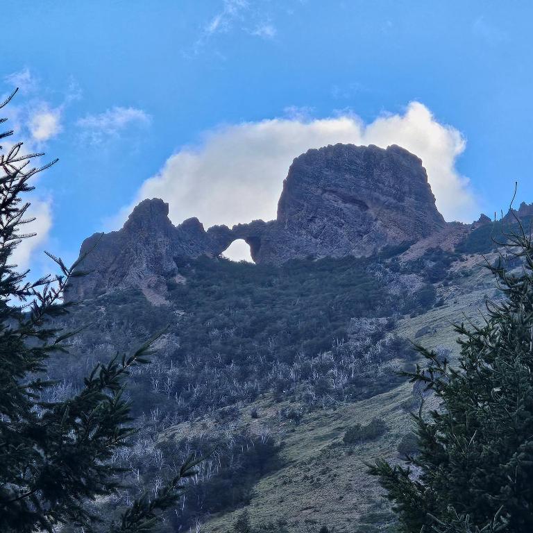 a view of a mountain with trees in the foreground at La Torre del Rio in Lago Meliquina
