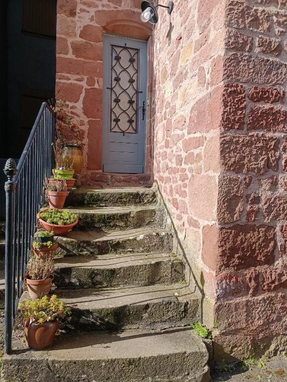 un escalier menant à une porte avec des plantes en pot dans l'établissement Chez Chacha, à Saint-Christophe-Vallon