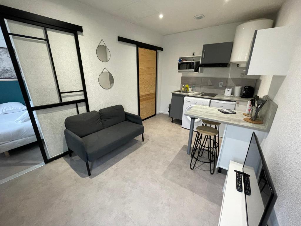 uma sala de estar com um sofá e uma cozinha em APPARTEMENT HYPER CENTRE numéro 101 em Roanne