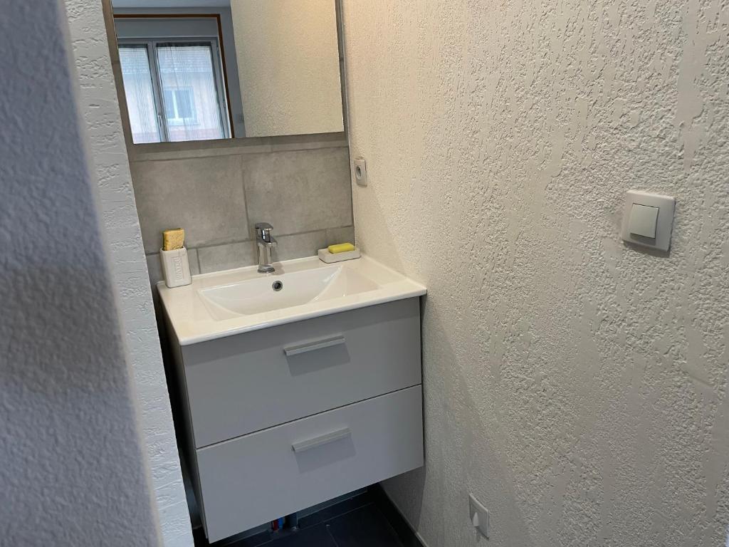 a bathroom with a sink and a mirror at APPARTEMENT HYPER CENTRE numéro 101 in Roanne