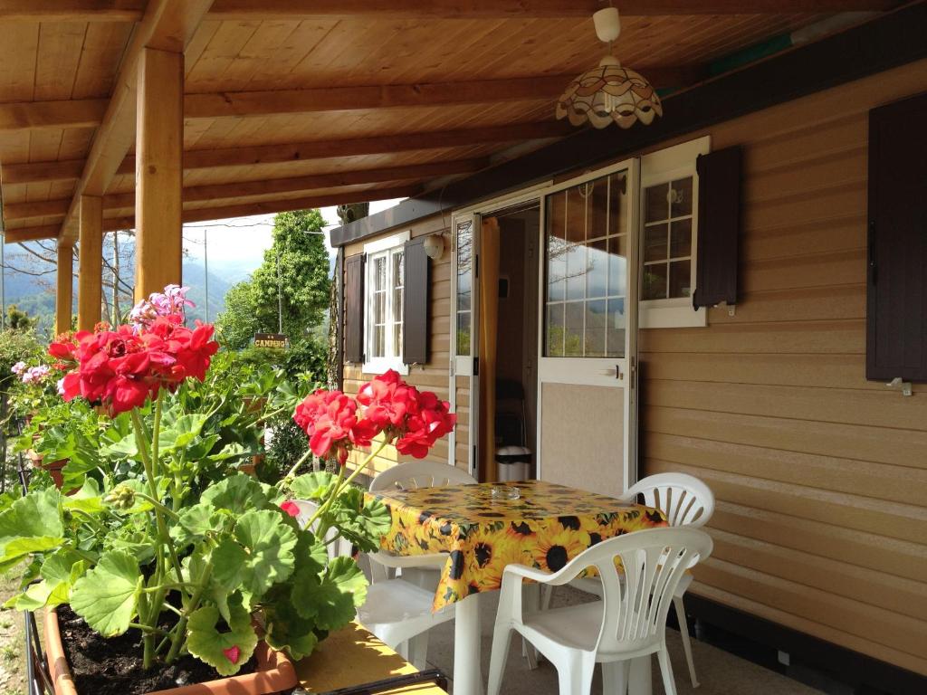 Zahrada ubytování Camping Royal