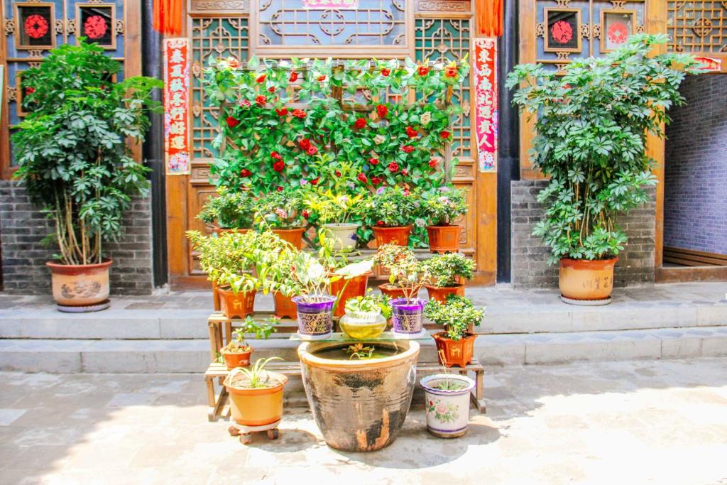Zahrada ubytování Pingyao Baichanghong Inn