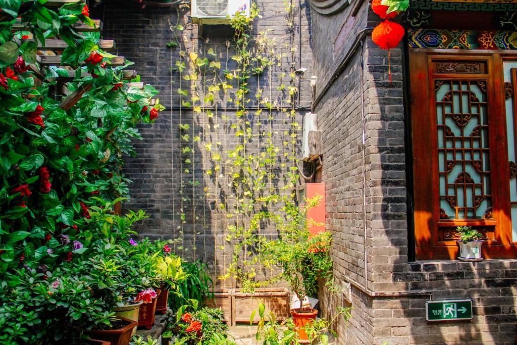 Zahrada ubytování Pingyao Baichanghong Inn