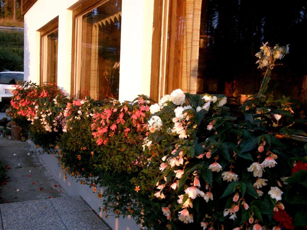 Zahrada ubytování Hotel Garni Gästehaus Karin