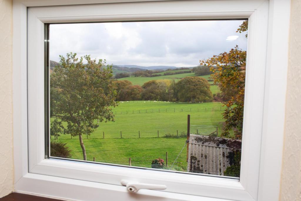 une fenêtre avec vue sur un champ verdoyant dans l'établissement Soar Cottage Aberystwyth, à Aberystwyth