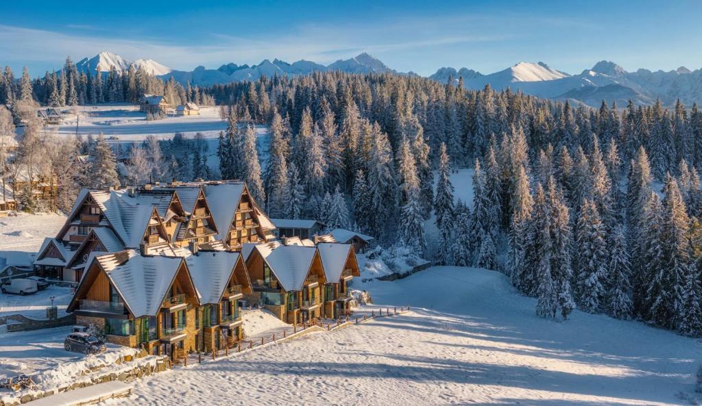 an aerial view of a house in the snow at Pensjonat Orlik Mountain Resort&SPA in Bukowina Tatrzańska