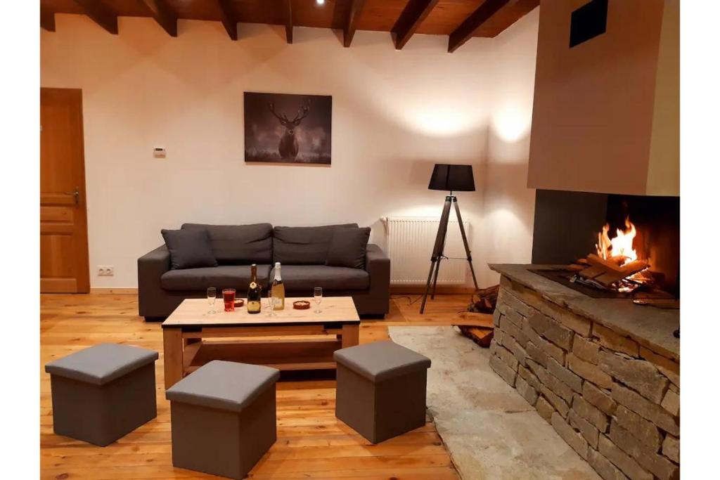 uma sala de estar com um sofá e uma lareira em Gite Les Sabots De Venus em Aspres-sur-Buëch