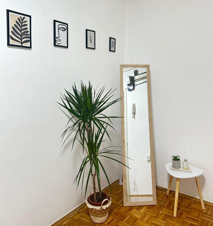 Fotografie z fotogalerie ubytování Avlija Garden Gem - free parking v destinaci Sarajevo
