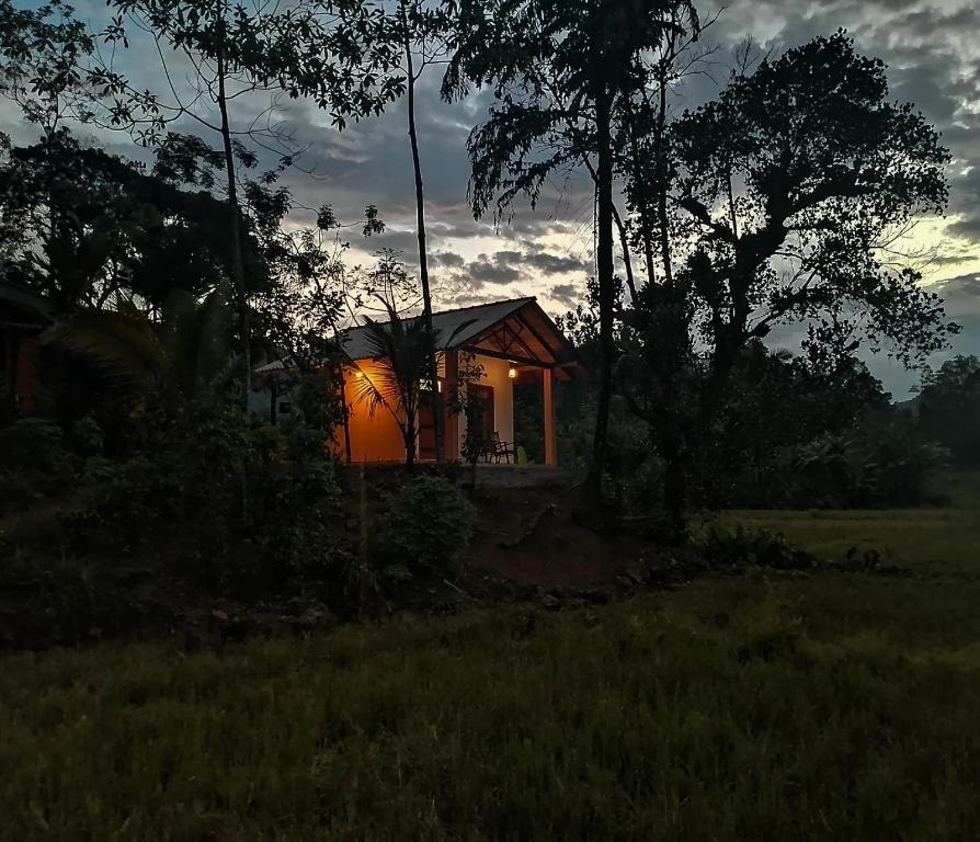 a small house with lights on in a field at Sinharaja Serenity Retreat in Deniyaya