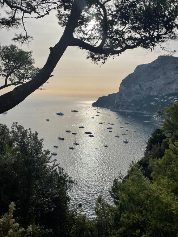 un grupo de barcos en un gran cuerpo de agua en Villa le gradelle with amazing view en Capri