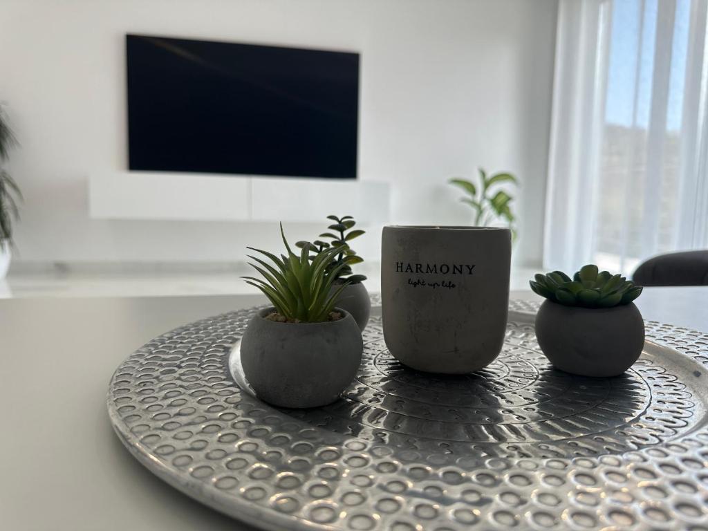 zwei Topfpflanzen auf einem Tisch mit einer Kaffeetasse in der Unterkunft Apartma 78 in Koper