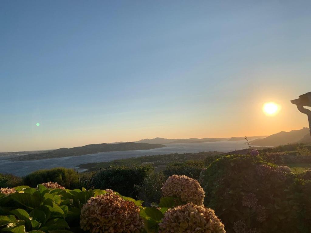 Villa Belvedere Palau, Palau (updated prices 2024)