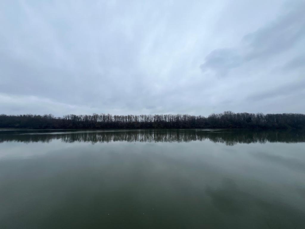 En udsigt til søen i nærheden af lejligheden