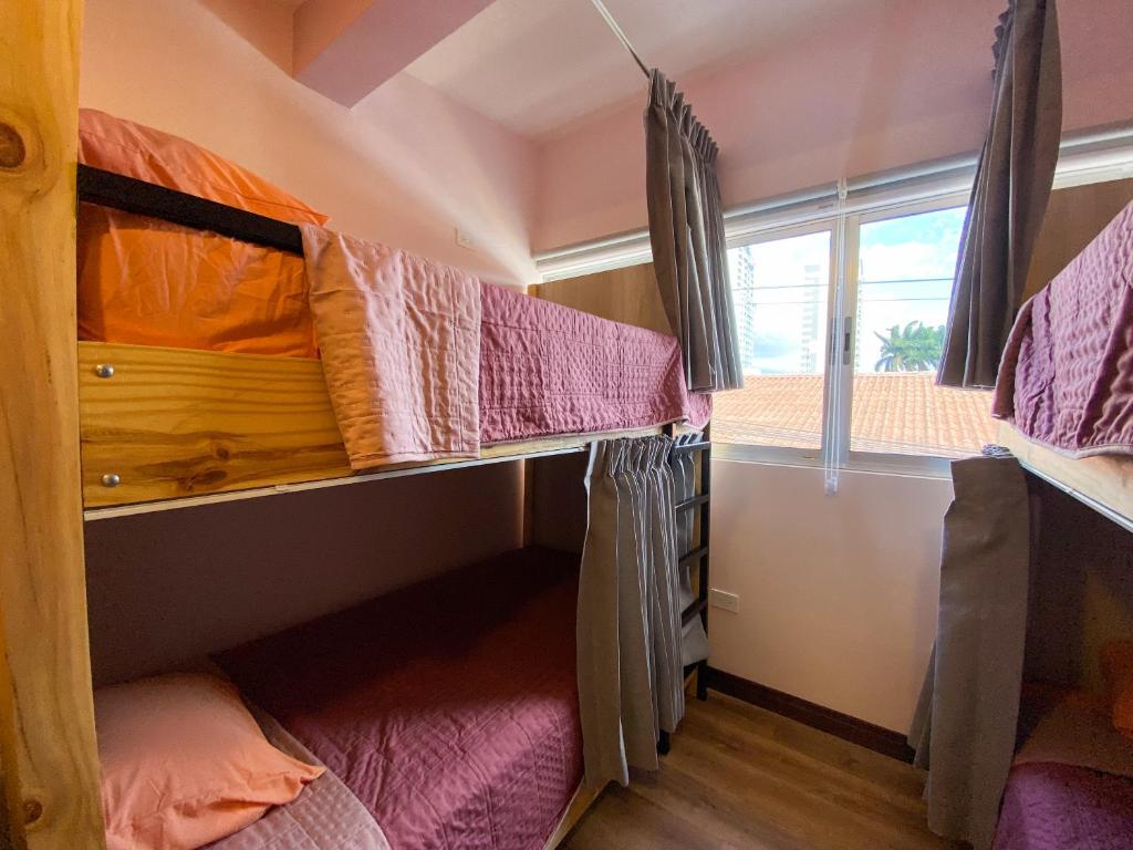 Palanda nebo palandy na pokoji v ubytování Casa Pandora Hostel Women Only