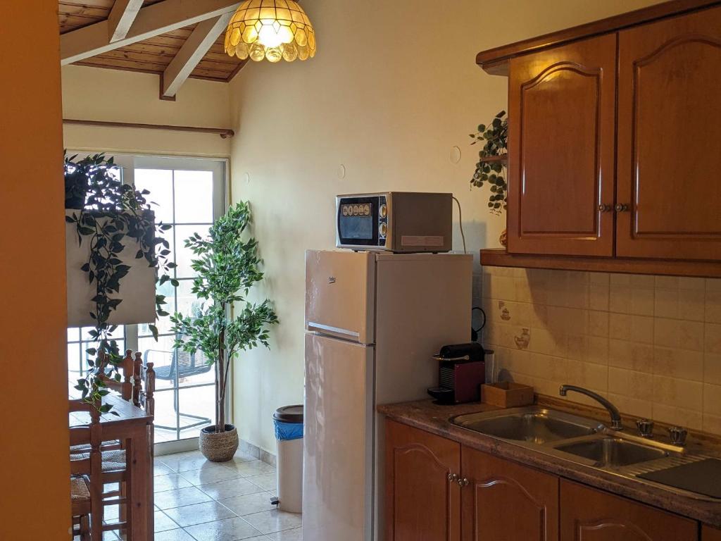 Kuchyň nebo kuchyňský kout v ubytování Panorama Inn