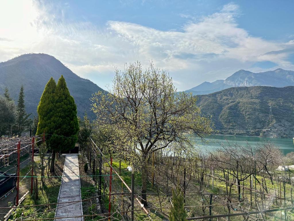 a view of a mountain with a lake and trees at Lakeview Escape Koman in Koman