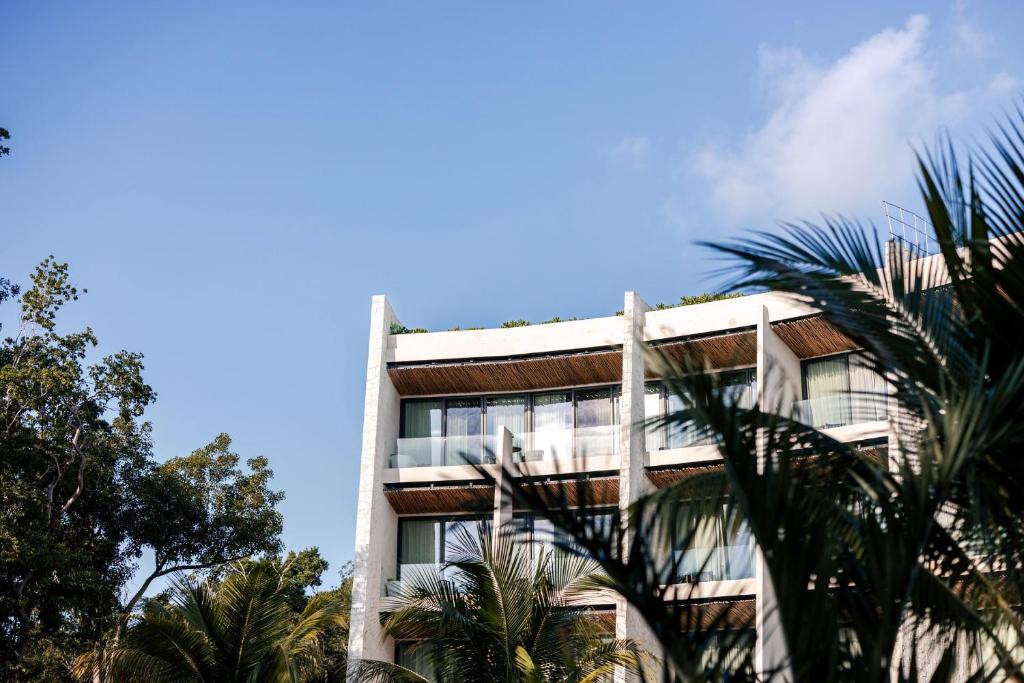 Bares premium y mixología