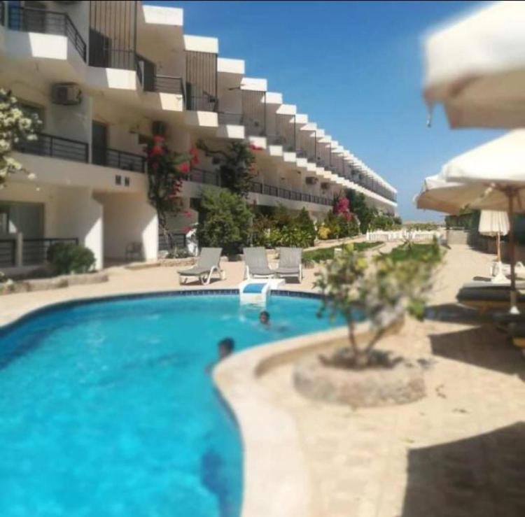 Bazén v ubytování Fox House Resort Apartment nebo v jeho okolí