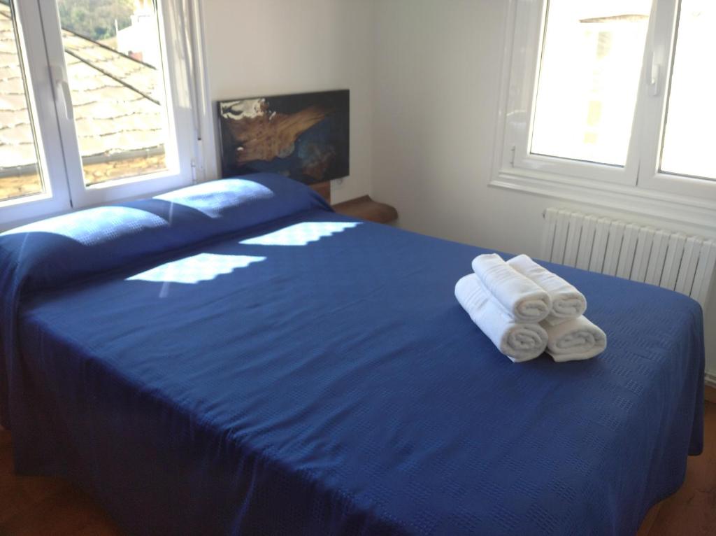 a bedroom with a blue bed with towels on it at A Travesía Dos Soños, Pedreiras in Sarria