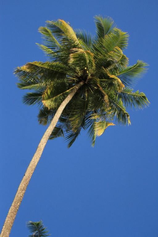 Divinity Villas - Uluwatu, Bali - 10